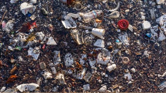 Plastics and microplastics that accumulate in soils can impact soil properties. A new Coordinated Research Project (CRP) will assess the environmental impact of plastics in soil and crop ecosystems. (Photo:?J.Adu-Gyamfi/IAEA)