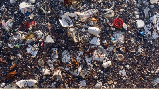 Plastics and microplastics that accumulate in soils can impact soil properties. A new Coordinated Research Project (CRP) will assess the environmental impact of plastics in soil and crop ecosystems. (Photo:?J.Adu-Gyamfi/IAEA)