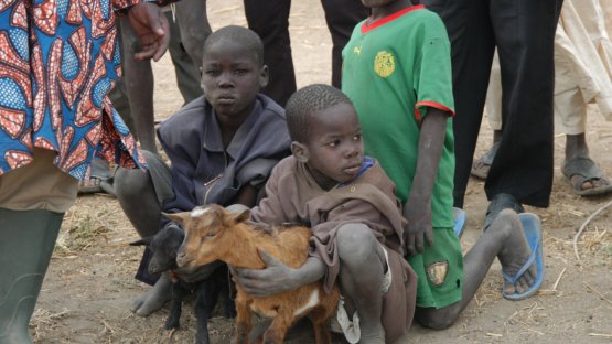 Cameroon1