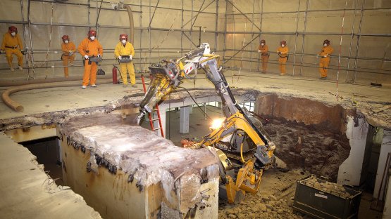 Decommissioning a research reactor
