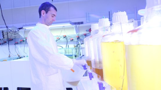 Studying the ocean and pollutants in IAEA laboratories in Monaco