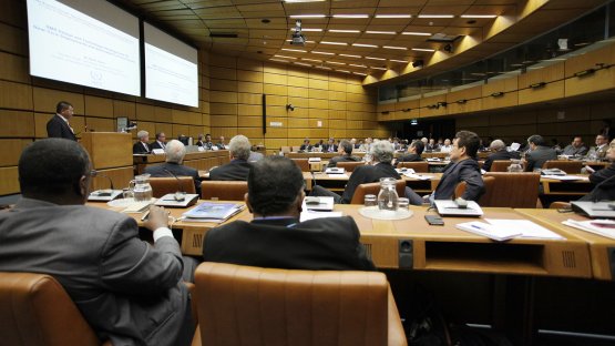 Small Modular Reactors