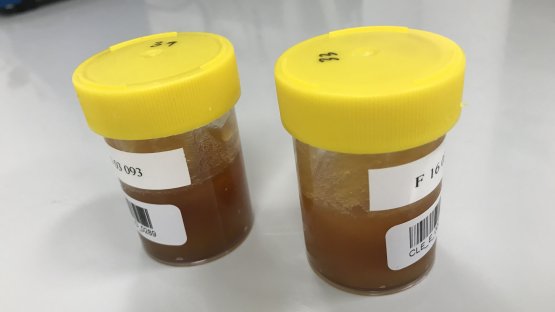 原子能機構啟動幫助各國打擊食品造假的項目