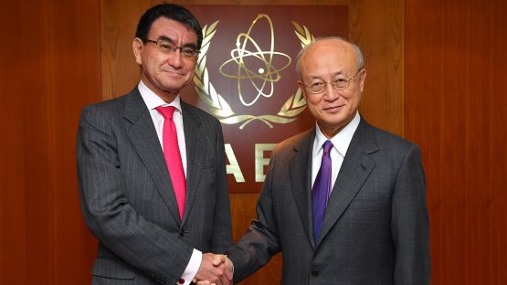 El OIEA cooperará con el Japón en materia de seguridad física nuclear en los Juegos Olímpicos de Tokio?2020