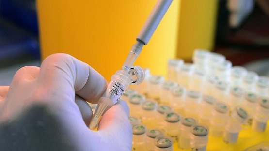原子能機構幫助莫桑比克解決洪水后動物疾病問題?（英文）