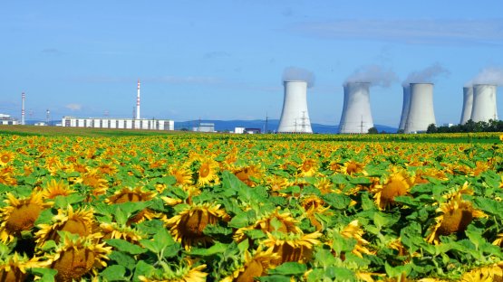 Nuevas proyecciones energéticas del OIEA apuntan a una función menguante de la energía nucleoeléctrica (en inglés)