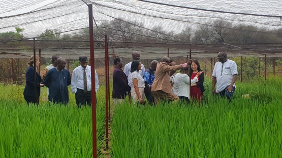 L’AIEA et la FAO mènent une première mission d’évaluation Atoms4Food au Burkina Faso