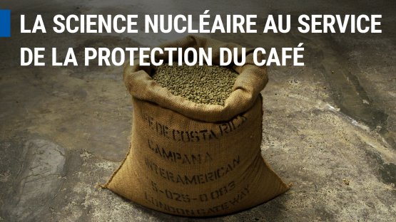 Comment la science nucléaire aide à retracer le parcours du café