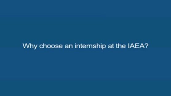 Internships at the IAEA