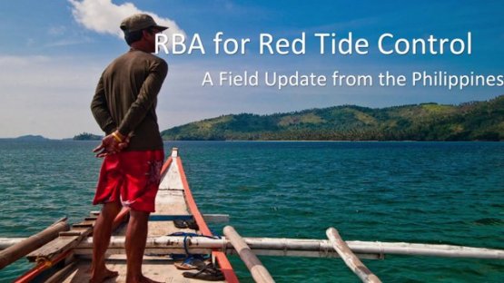 RBA for Red Tide Control: A Field Update
