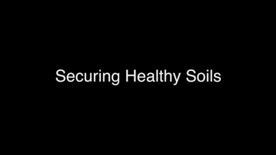 Securing Healthy Soils