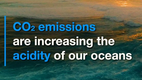 Las emisiones de CO2 aumentan la acidez de los océanos (en inglés) 