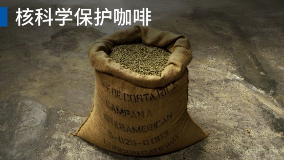 核科學如何揭示咖啡的故事