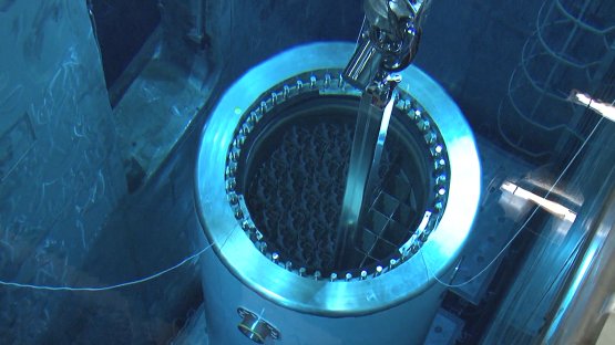 原子能機構講習班強調“放射性廢物和乏燃料管理、退役和治理綜合評審服務”同行評審服務?（英文）