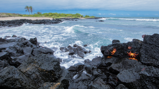 Abre un laboratorio respaldado por el OIEA para luchar contra los microplásticos en las islas Galápagos