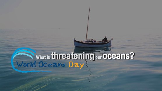 Ocean Acidification - Helping to Tackle this Global Threat with Nuclear Techniques