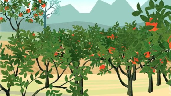 Giving Mother Nature a Helping Hand