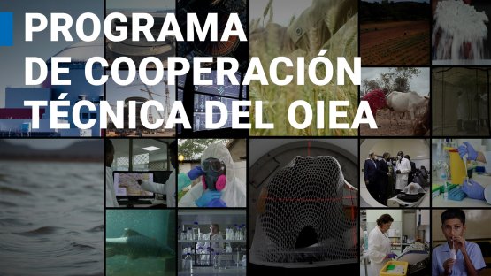 Programa de cooperación técnica del OIEA: la ciencia nuclear al servicio del desarrollo sostenible
