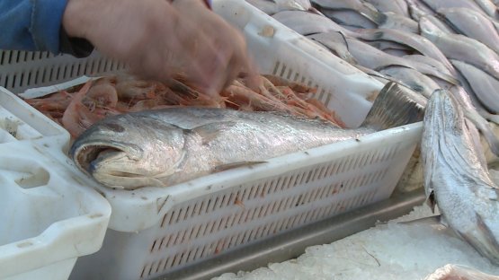 幫助提高海產品安全 （英文）