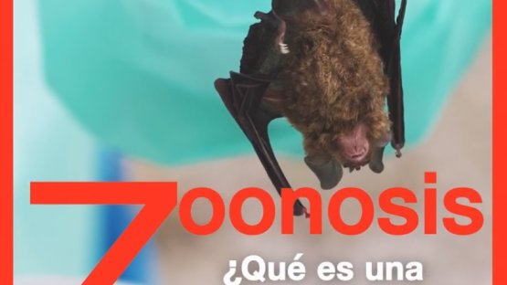 Zoonosis: ?Qué es una enfermedad zoonótica?