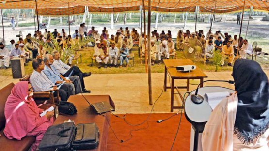 Farmer Training and Cost-effective testing for Veterinary Drug Residues improve Pakistan’s Reputation in International Food Trade