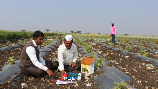 RAS 5084 - Assessing and Improving Soil and Water Quality to Minimize Land Degradation and Enhance Crop Productivity Using Nuclear Techniques (RCA)