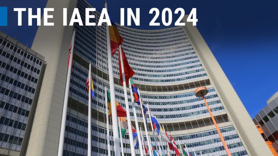 VIDEO: The IAEA’s Achievements in 2024