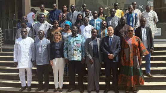 IAEA Supports Burkina Faso in Establishing a National Legal Framework for a Nuclear Power Programme 