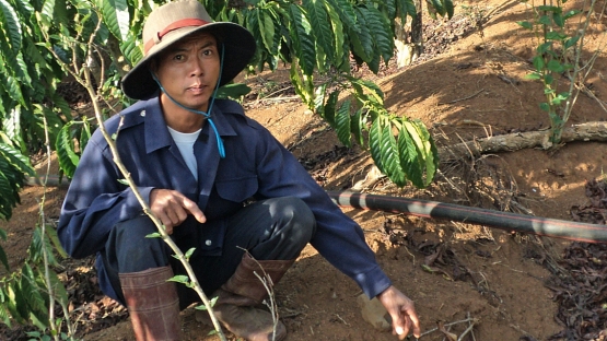 Dao Thanh Canh