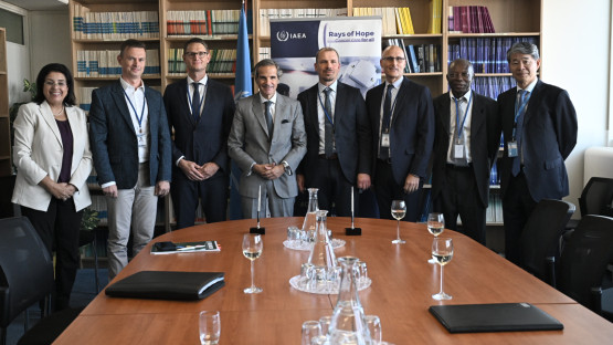 On September 18 2024, the IAEA signed strategic partnership agreements with IBA Dosimetry, PTW-Freiburg Physikalisch-Technische Werkst?tten Dr. Pychlau GmbH to enhance dosimetry and quality assurance efforts under Rays of Hope. 