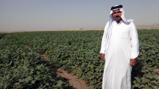 RAS5080: Developing Sustainable Agricultural Production and Upscaling of Salt-Degraded Lands through Integrated Soil, Water and Crop Management Approaches - Phase III