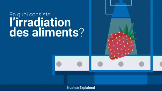 En quoi consiste l'irradiation des aliments ?