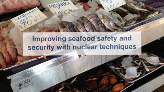 Improving Seafood Safety and Security with Nuclear Techniques
