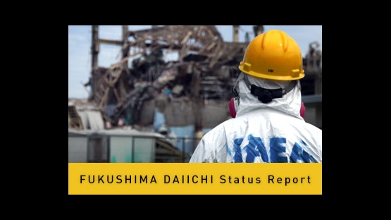 IAEA Fukushima Daiichi Status Update