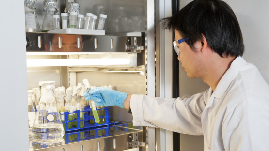 IGFS lab