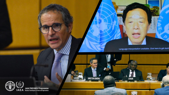 A joint IAEA–FAO meeting with the African groups based in Vienna 