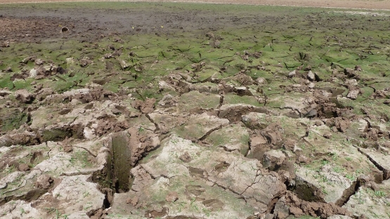 Drought