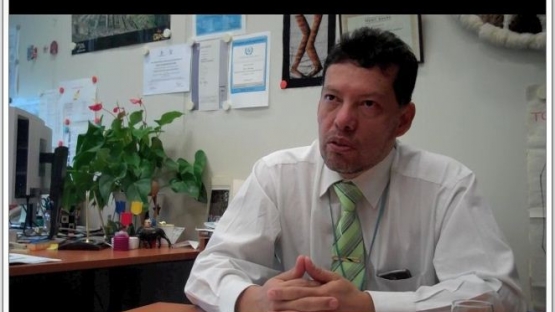 IAEA experts