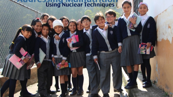 Using nuclear techniques to address the double burden of malnutrition in children in Latin America and the Caribbean. 
<br><br>
Uso de técnicas nucleares para abordar la doble carga de malnutrición en ni?os en Latino América y el Caribe. 