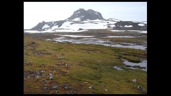The impact of rising temperatures caused by climate change on seasonal snow cover