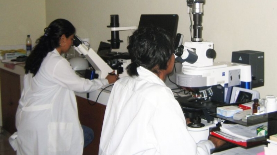 working at Laboratory of Marine Toxins of the University of El Salvador