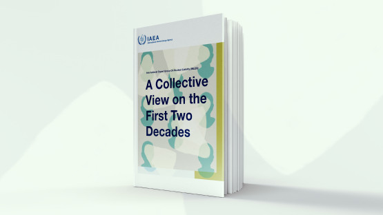 INLEX: A Collective View on the First Two Decades
