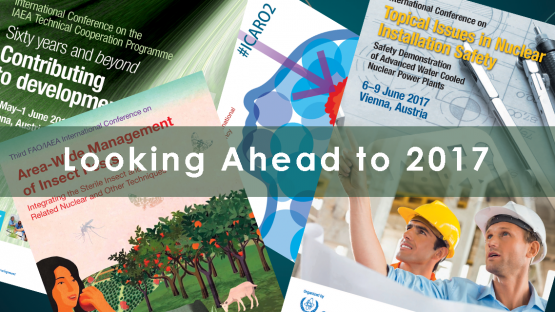 Looking ahead 2017
