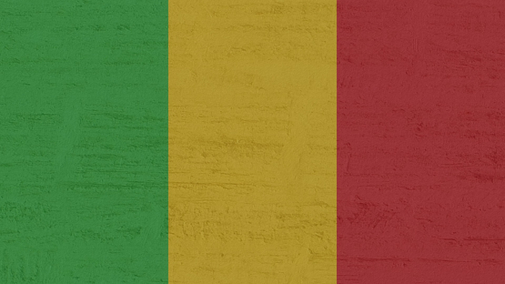 IAEA Assists Mali in Preparing Comprehensive National Nuclear Legislation