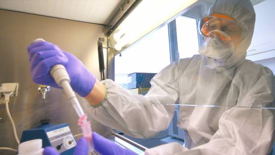 Scientist extracts genome of coronavirus