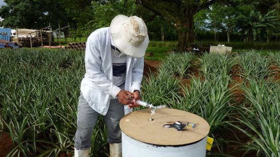 A researcher in Costa Rica collecting greenhouse gases (GHG) samples in the field. Isotopic and related techniques help in measuring GHG from agriculture as well as in mitigating and sequestering carbon.