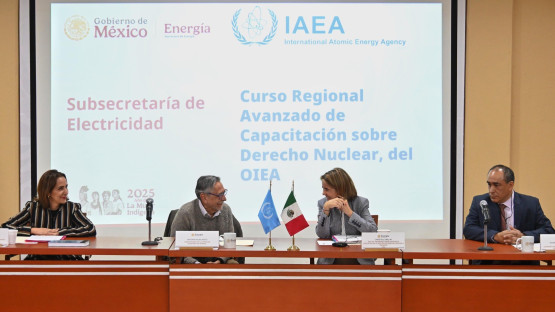 IAEA Hosts First Spanish-Language Advanced Training Course on Nuclear Law 