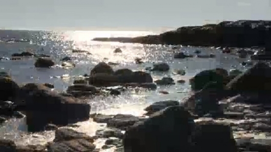 Oceans of Change - Using Nuclear Science to Study Ocean Acidification