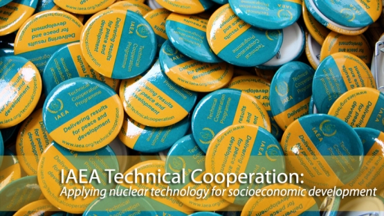 The IAEA's Technical Cooperation programme: Delivering results for peace and development.