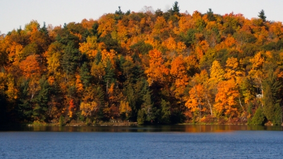 The Earth's environment is in constant threat: from climate change, natural catastrophes, pollution, and ecological damage resulting from various man-made activities, including accidental or intentional release of radioactivity. The ability to accurately measure the impact of these adverse environmental effects is crucial not only in determining the extent of damage but also to assist in remediating their effects.